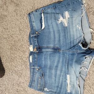 Plus Size Denim Shorts